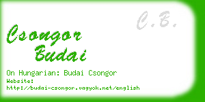 csongor budai business card